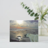 Mitternachtssonne und Eisbär, Arktischer Ozean Postkarte (Stehend Vorderseite)