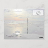 Mitternachtssonne und Eisbär, Arktischer Ozean Postkarte (Rückseite)