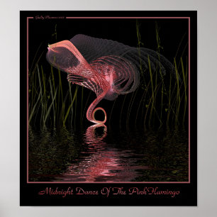 Mitternachtstanz des rosa Flamingos Poster