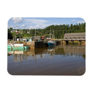 Mittlere Flut in der Bay of Fundy in St. Martins, Magnet