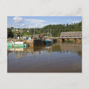 Mittlere Flut in der Bay of Fundy in St. Martins,  Postkarte