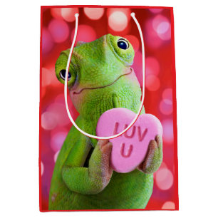  MITTLERE GESCHENKTÜTE
