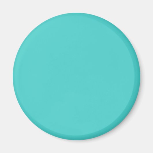 Mittlere türkisfarbene Farbe Magnet (Vorne)