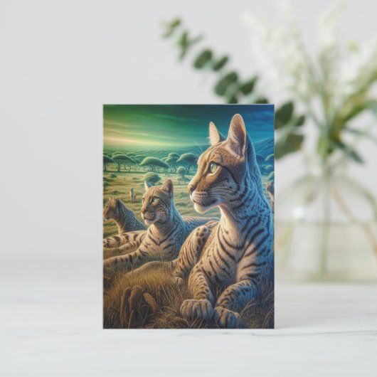 Mittlere Unternehmen auf Meadow Postkarte (Stehend Vorderseite)