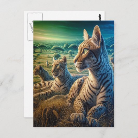 Mittlere Unternehmen auf Meadow Postkarte (Vorne/Hinten)