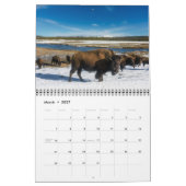 Mittlerer Yellowstone-Park-Kalender Kalender (Mär 2027)