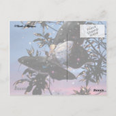 Mittsommerabend! Postkarte (Rückseite)