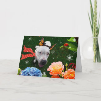 Mitzy die Mariposa, Holiday Grußkarte Feiertagskarte
