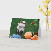 Mitzy die Mariposa, Hund mit Schmetterlingsflügeln Karte (Gelbe Blume)