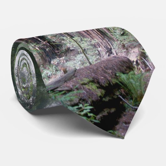 Miur Holz Krawatte (Gerollt)