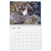 Mix Fotos Siquijor Beauty S-L Größe Kalender (Feb 2026)