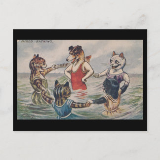 Mixed Bathing - Dog and Cats Postcard Postkarte