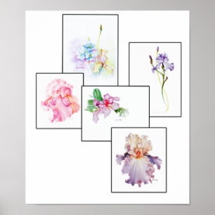 Mixed Bouquet Print Poster