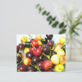 Mixed Cherries Postkarte (Stehend Vorderseite)