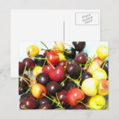 Mixed Cherries Postkarte (Vorne/Hinten)