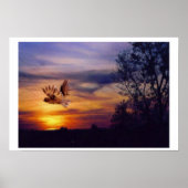 Mixed Media Art Sunset Owl Poster (Vorne)