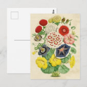 Mixed Vintag florale niedliche Postkarte (Vorne/Hinten)