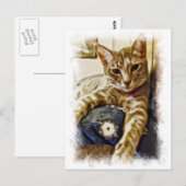 Miyu Cat Art Postkarte (Vorne/Hinten)