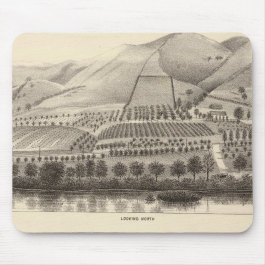 Mizzen Top Rancho Mousepad (Vorne)