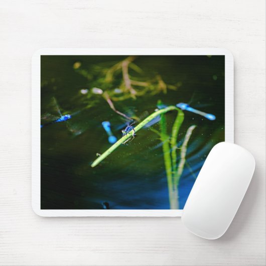 MK2A8136_v01 Mousepad (Mit Mouse)