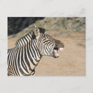 Mkuze Game Reserve, Provinz Kwa-Zulu Natal, Postkarte