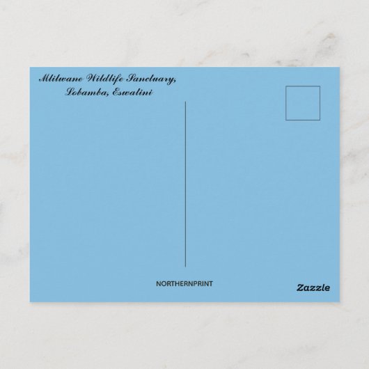 Mlilwane Wildlife Sanctuary Lobamba Eswatini Postkarte (Rückseite)