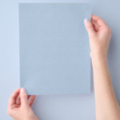 MLSBB SOLID LIGHT BABY BLAUE BACKGRUNDS WALLPAPIER FLYER (Hand)