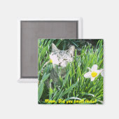 Mm, hast du die gerochen? magnet (Vorderseite/Rückseite)