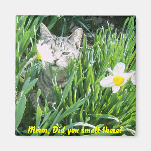 Mm, hast du die gerochen? magnet