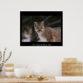 MMM - Poster (Küche)