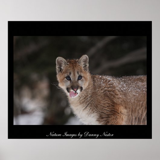 MMM - Poster (Vorne)