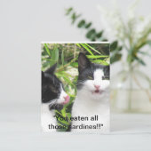 "mmm sardines!!!!! postkarte (Stehend Vorderseite)