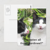 "mmm sardines!!!!! postkarte (Vorne/Hinten)