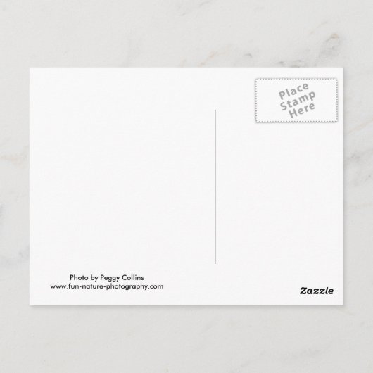 Mmmm, Kaffee! Postkarte (Rückseite)