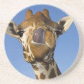 Mmmm Mmmmm gut Untersetzer (Vorne)