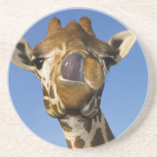 Mmmm Mmmmm gut Untersetzer