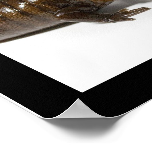 Mmmmmmmmmm..........................! Poster (Ecke)