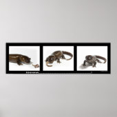 Mmmmmmmmmm..........................! Poster (Vorne)