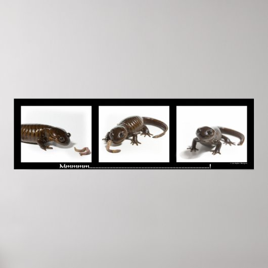 Mmmmmmmmmm..........................! Poster (Vorne)