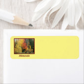 MN-Bäume in Rücksendeadressen-Aufklebern im Herbst (Insitu)