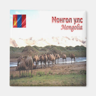 MN - Mongolei - Khongoryn Els Camels Magnet