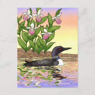 MN Staat Bird Blume Loon Lady Slipper Postkarte