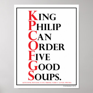 Mnemonic: King Philip = Artenidentifizierung Poster