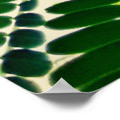 mni folha poster (Ecke)