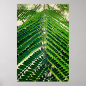 mni folha poster (Vorne)