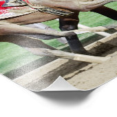 Mo Donegal Foto Print (Ecke)