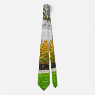 MO Hauptstadt Herbst Grounds Neck Tie Krawatte