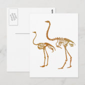 Moa und Straußenskelett Postkarte (Vorne/Hinten)