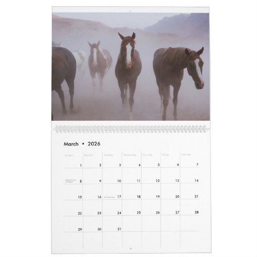 Moab Pferde Kalender (Mär 2026)