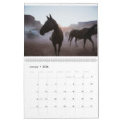 Moab Pferde Kalender (Jan 2026)
